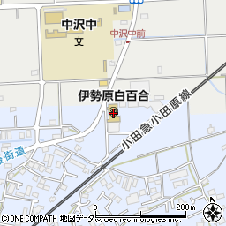 神奈川県伊勢原市池端536周辺の地図
