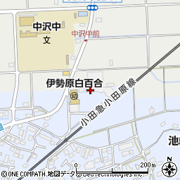 神奈川県伊勢原市池端539-2周辺の地図