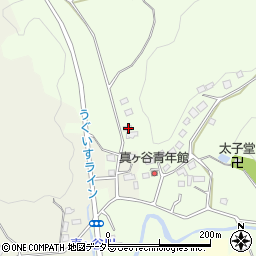 千葉県市原市真ケ谷458周辺の地図