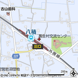 千葉県長生郡長生村岩沼821周辺の地図