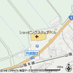 株式会社丸合宍道店周辺の地図