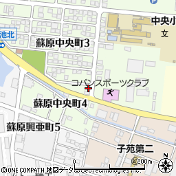 岐阜県各務原市蘇原中央町3丁目181周辺の地図