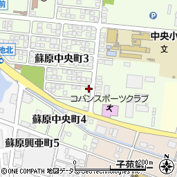 岐阜県各務原市蘇原中央町3丁目161周辺の地図