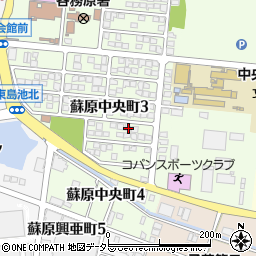 岐阜県各務原市蘇原中央町3丁目134周辺の地図