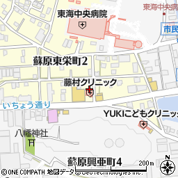 岐阜県各務原市蘇原東栄町2丁目100周辺の地図