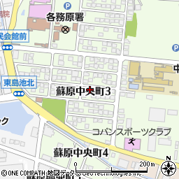 岐阜県各務原市蘇原中央町3丁目99周辺の地図