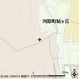 鳥取県鳥取市河原町長瀬156周辺の地図