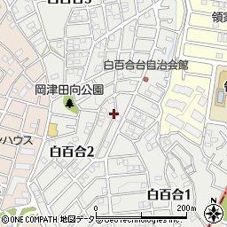 神奈川県横浜市泉区白百合周辺の地図