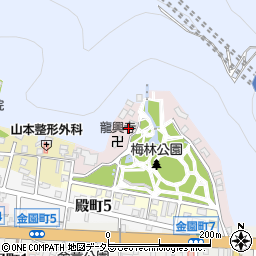 岐阜県岐阜市梅林5周辺の地図