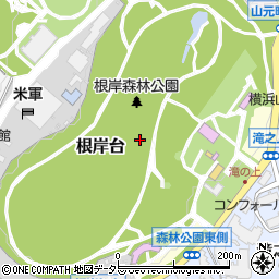 神奈川県横浜市中区根岸台周辺の地図