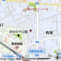 千葉県茂原市町保11-149周辺の地図