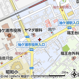 セブンイレブン袖ケ浦奈良輪店周辺の地図