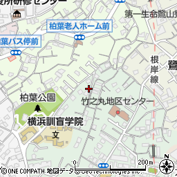 神奈川県横浜市中区竹之丸188周辺の地図
