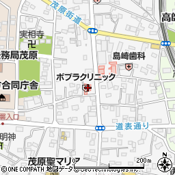 千葉県茂原市高師1017周辺の地図