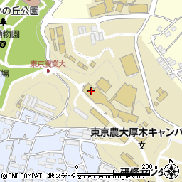 東京農業大學全學應援團周辺の地図