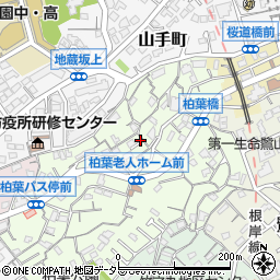〒231-0866 神奈川県横浜市中区柏葉の地図