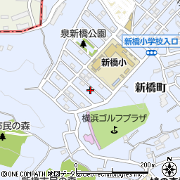 神奈川県横浜市泉区新橋町911-10周辺の地図