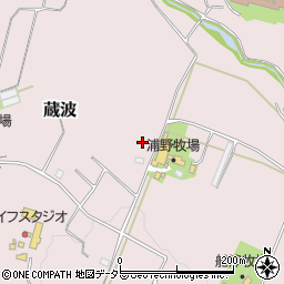 千葉県袖ケ浦市蔵波周辺の地図