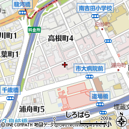 神奈川県横浜市南区白妙町4丁目周辺の地図