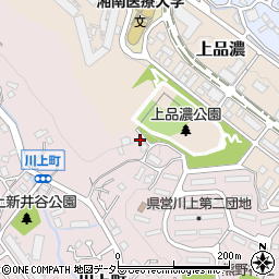サザンアベニュー東戸塚周辺の地図