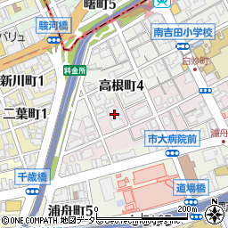 神奈川県横浜市南区白妙町4丁目42周辺の地図