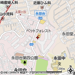 神奈川県横浜市南区永田台1周辺の地図
