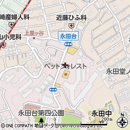 神奈川県横浜市南区永田台1-12周辺の地図