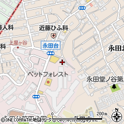 神奈川県横浜市南区永田台1-24周辺の地図