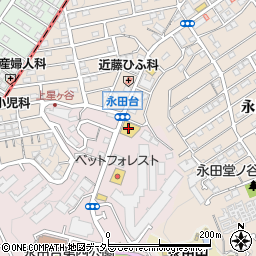 神奈川県横浜市南区永田台1-17周辺の地図
