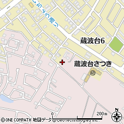 千葉県袖ケ浦市蔵波2995周辺の地図