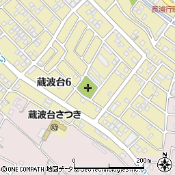 千葉県袖ケ浦市蔵波台6丁目24周辺の地図