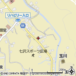 神奈川県厚木市七沢216周辺の地図
