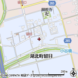 滋賀県長浜市湖北町留目288周辺の地図