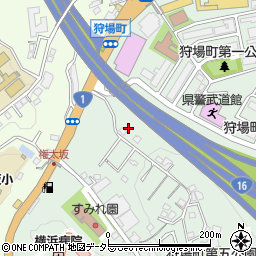 神奈川県横浜市保土ケ谷区狩場町176周辺の地図