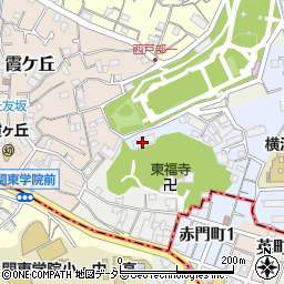 神奈川県横浜市西区東ケ丘78周辺の地図