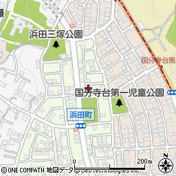 神奈川県海老名市浜田町4-6周辺の地図