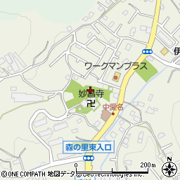 神奈川県厚木市愛名153周辺の地図