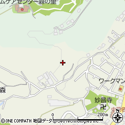 神奈川県厚木市愛名172周辺の地図