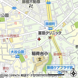 〒220-0053 神奈川県横浜市西区藤棚町の地図
