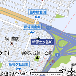 藤塚橋周辺の地図