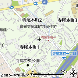 神奈川県綾瀬市寺尾本町周辺の地図