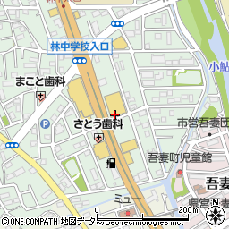 〒243-0816 神奈川県厚木市林の地図