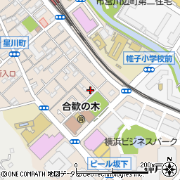 神奈川県横浜市保土ケ谷区神戸町161周辺の地図