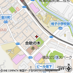 神奈川県横浜市保土ケ谷区神戸町161周辺の地図