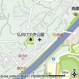 神奈川県横浜市保土ケ谷区仏向町1037-79周辺の地図