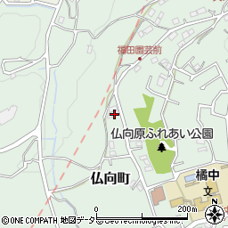 神奈川県横浜市保土ケ谷区仏向町1437周辺の地図
