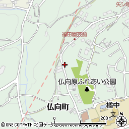 神奈川県横浜市保土ケ谷区仏向町1248-3周辺の地図