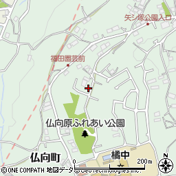 神奈川県横浜市保土ケ谷区仏向町1229周辺の地図