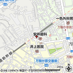 神奈川県横浜市旭区さちが丘146-6周辺の地図