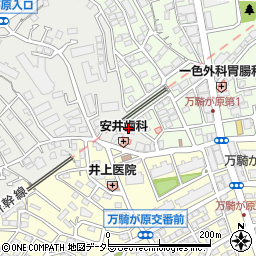 神奈川県横浜市旭区さちが丘146-40周辺の地図